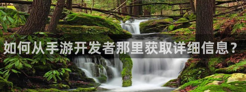 大神网pc28：如何从手游开发者那里获取详细信息？
