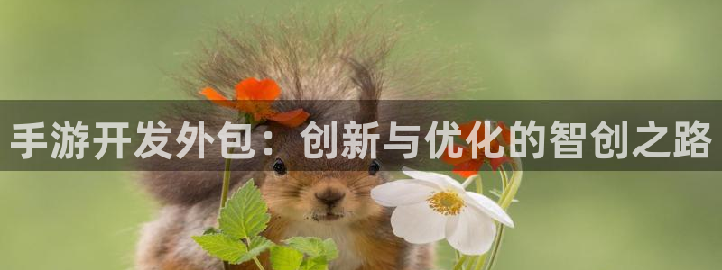 加拿大pc28开奖网站大神：手游开发外包：创新与优化的智创之
