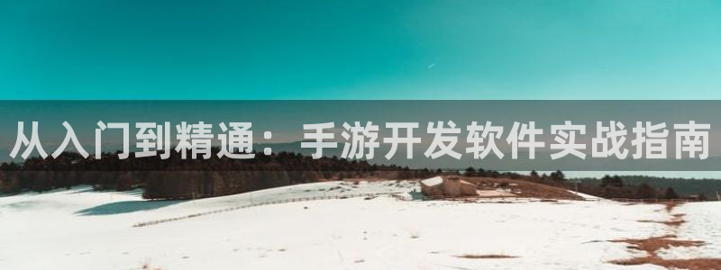 大神28预测官网：从入门到精通：手游开发软件实战指南