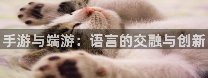 大神网pc28预测：手游与端游：语言的交融与创新