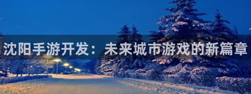 大神28软件：沈阳手游开发：未来城市游戏的新篇章
