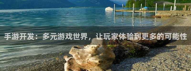 大神28评测：手游开发：多元游戏世界，让玩家体验到更多的可能