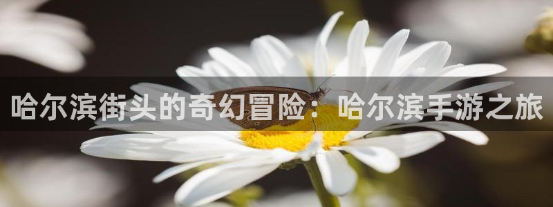 28大神开奖软件：哈尔滨街头的奇幻冒险：哈尔滨手游之旅