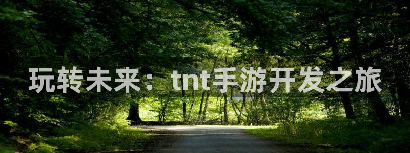 28大神报数：玩转未来：tnt手游开发之旅