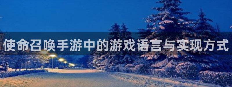 大神28app：使命召唤手游中的游戏语言与实现方式
