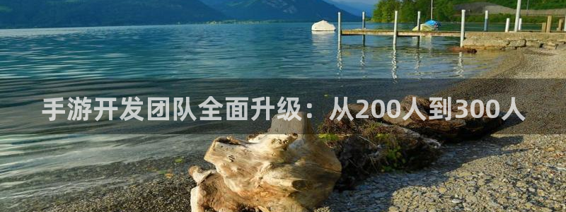 28大神ios版：手游开发团队全面升级：从200人到300人