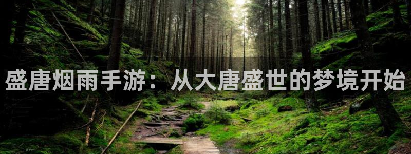 大神28开奖官网查询：盛唐烟雨手游：从大唐盛世的梦境开始