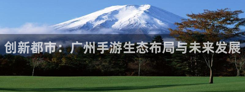 28大神官网苹果：创新都市：广州手游生态布局与未来发展