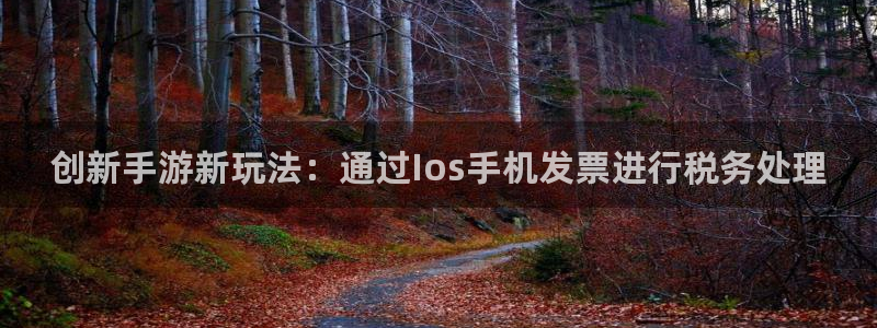 28大神报数：创新手游新玩法：通过Ios手机发票进行税务处理